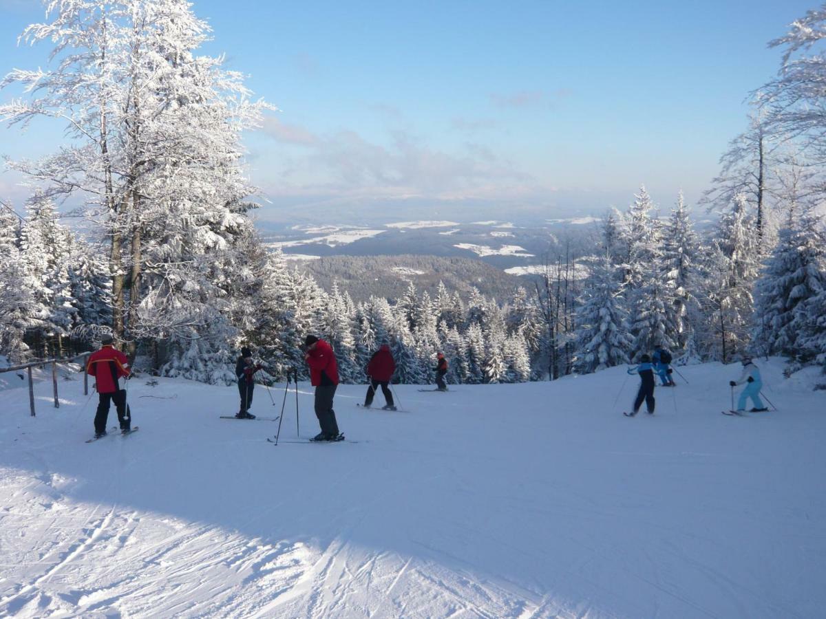 Ferienwohnungen Koenig Bischofsmais Luaran gambar